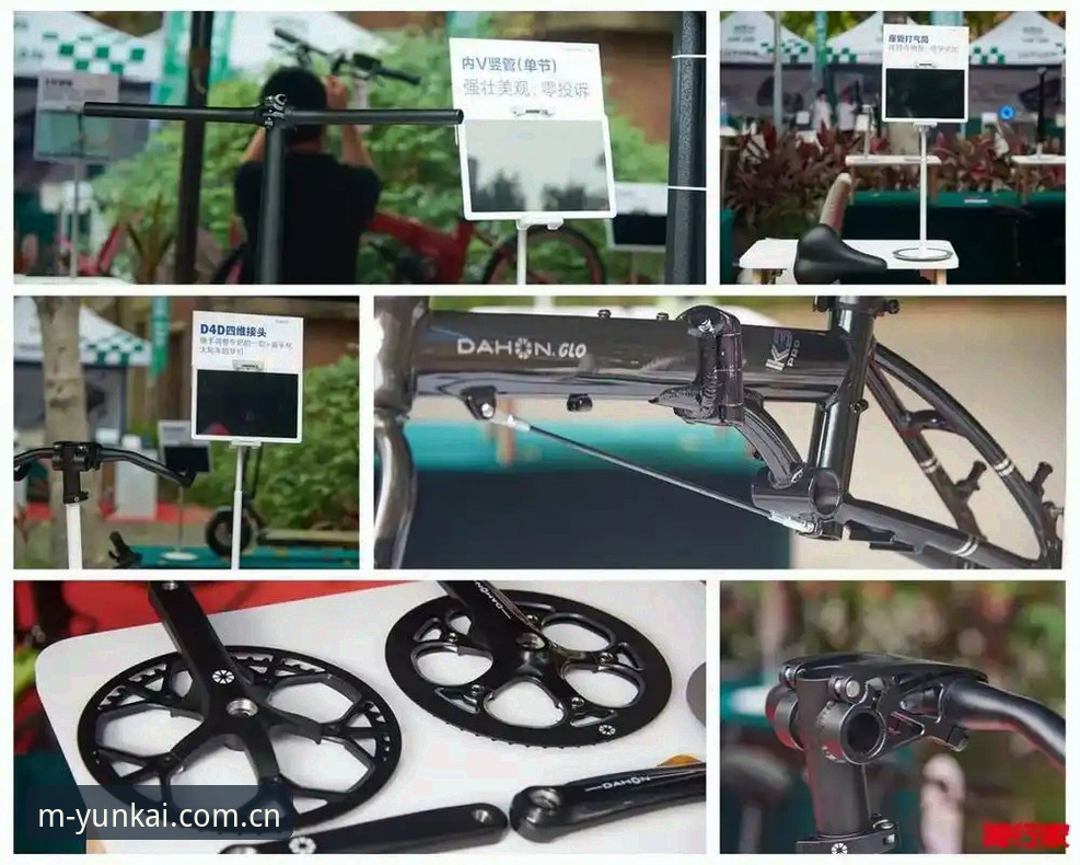 云开体育平台使用指南：从下载到深度体验的完整教程